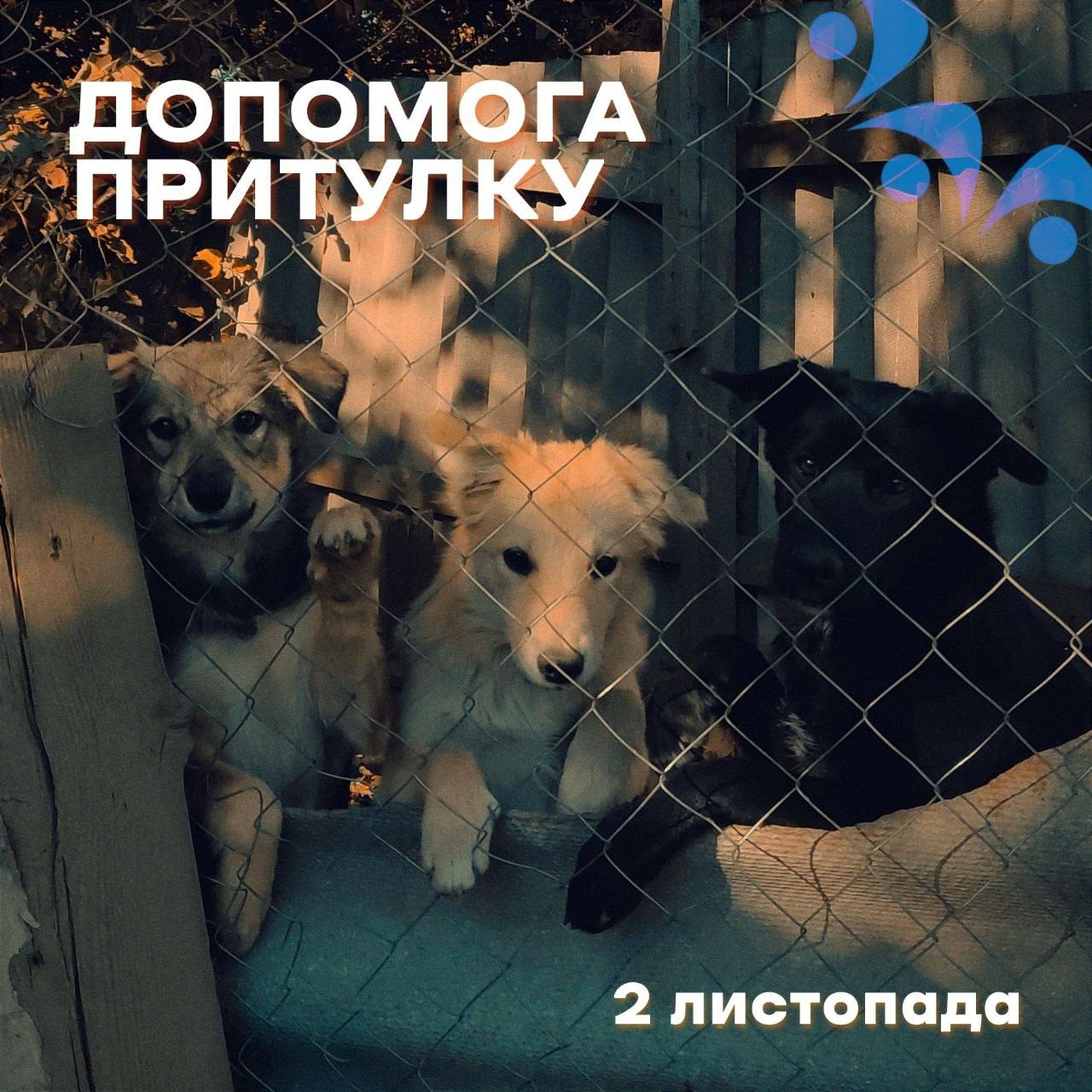 photo1698660097